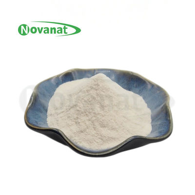 Allergen Free Probiotics Powder HALAL Lactococcus lactis subsp.lactis LLL-05 300 Billion