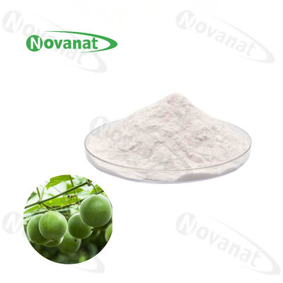 calidad  Water Soluble Monk Fruit Extract Powder 50% Mogroside V Natural Sweetener Clean Label Fábrica