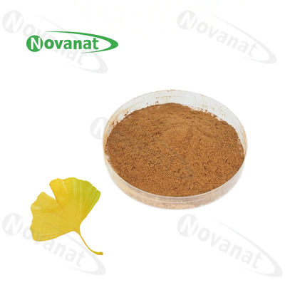 calidad  100% Nature Gingko Biloba Leaf Extract Powder/USP/E.P/CP15/Dietary Supplements Ingredients Fábrica