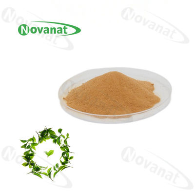 calidad  100% Natural Extract Green Tea L-Theanine 20% / 30% / 40% Natural L-Theanine Fábrica
