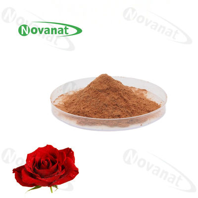 calidad  Rose Flower Extract Powder 4/120% And 25% Polyphenols/Food Beverage Fábrica