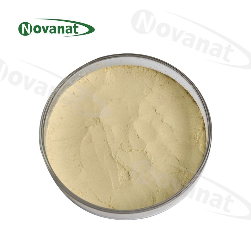 Nekemias grossedentata Extract 85% Total Polyphenols/Clean Label/Allergen Free