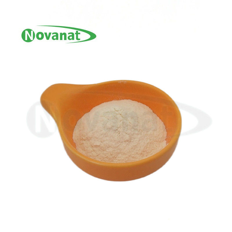 Bifidobacterium bifidum BB47 / 400billion CFU / g / Vegan / Free Allergen Gluten Dairy