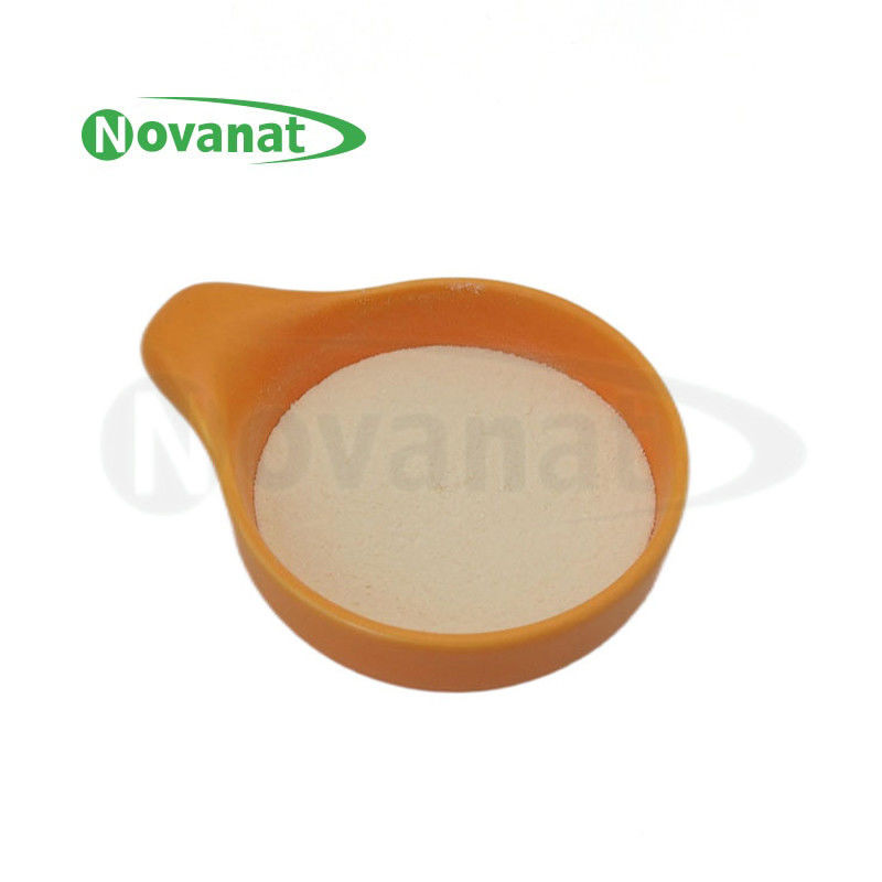 Bifidobacterium animalis subsp. lactis BI516 /500billionCFU/g/Vegan/ Free (Allergen/Gluten/Dairy)