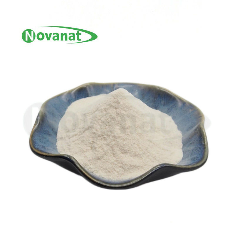 Allergen Free Probiotics Powder HALAL Lactococcus lactis subsp.lactis LLL-05 300 Billion