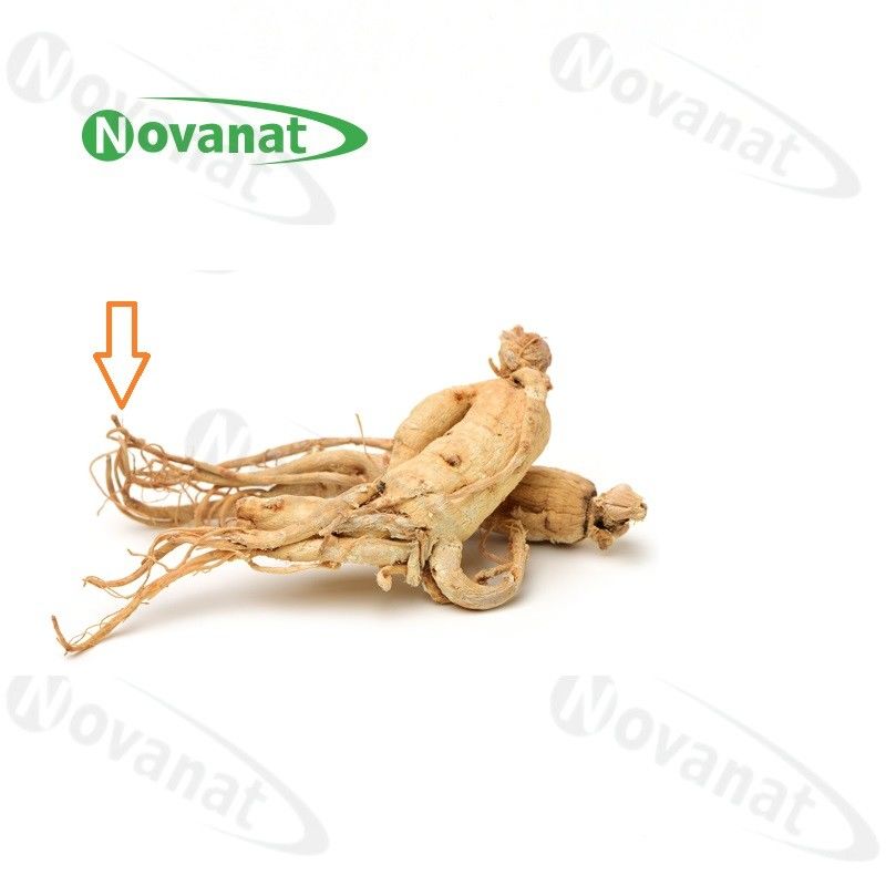Ginseng Rootlets Organic Dried Herbs / Food Supplement
