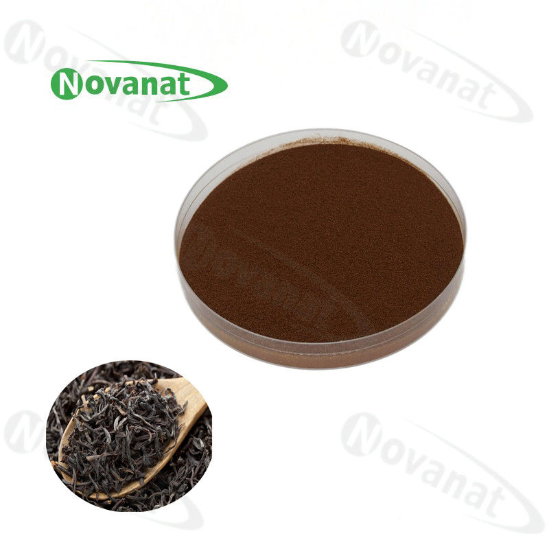Dark Tea Instant Tea Extract Powder 15% -30% Polyphenols / Clean label