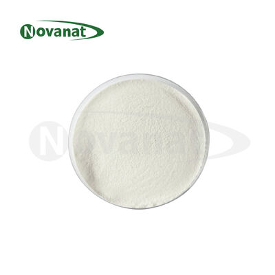 Bifidobacterium longum subsp. pasteurizado. longum BL88-Onlly Postbióticos en polvo Vegano/Sin alérgenos/Sin gluten/Sin lácteos