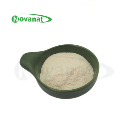 Levilactobacillus brevis LBr05 Probióticos en polvo Vegano / sin alérgenos / sin gluten / sin lácteos