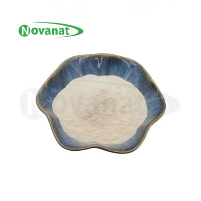 Ligilactobacillus salivarius LS86 100 mil millones UFC/g Probióticos en polvo Vegano/ Sin alérgenos / Sin gluten / Sin lácteos