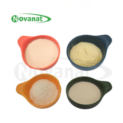 Lactiplantibacillus plantarum LP-sólo Probióticos en polvo Vegano / sin alérgenos / sin gluten / sin lácteos