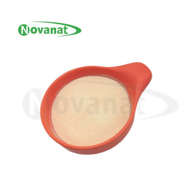 Lacticaseibacillus paracasei LPC28 Probiótico / Tyndallizado / Vegano / Libre de alérgenos / Libre de gluten / Libre de lácteos