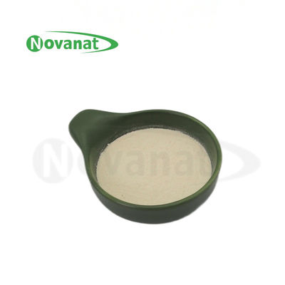 Lactobacillus delbrueckii subsp. Bulgaricus LB2/50billion CFU/G/Vegan/Alergen Free/Gluten Free/Lechy Free